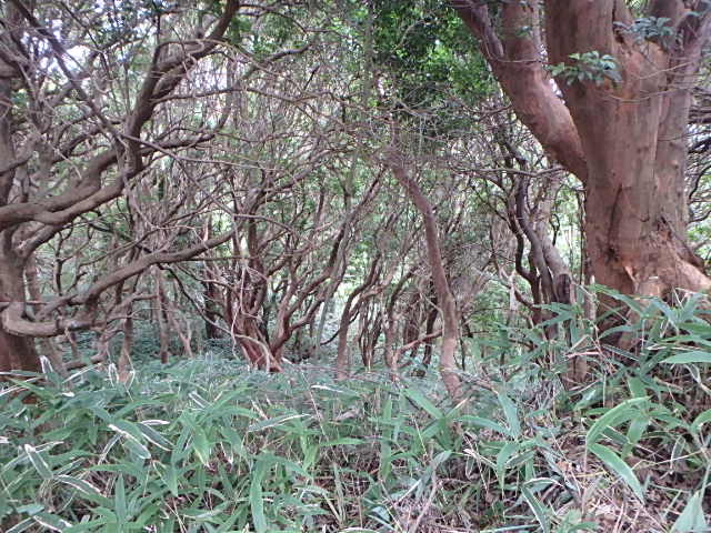 f0334143_1912425.jpg