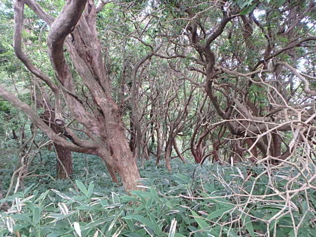 f0334143_19125360.jpg