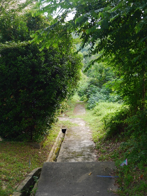 c0209845_2130671.jpg