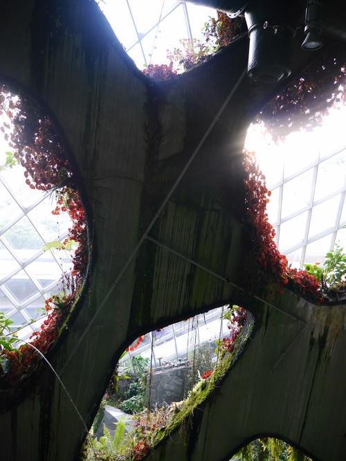 c0209845_2136173.jpg