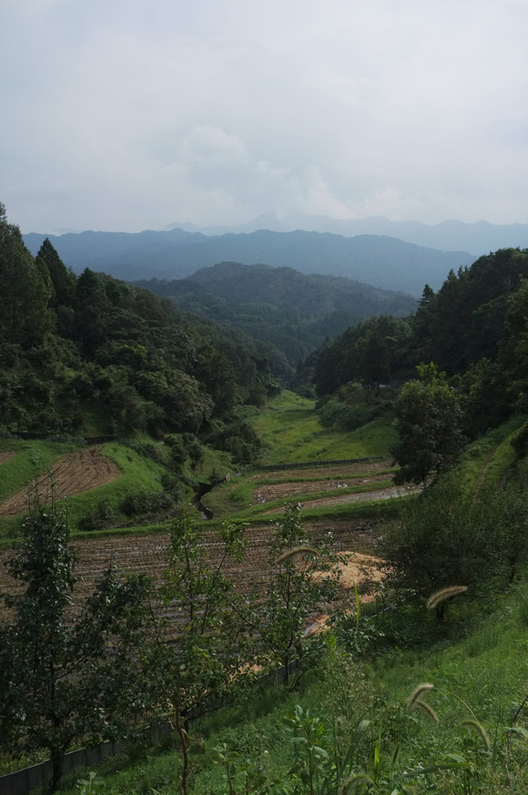 a0166150_1749308.jpg