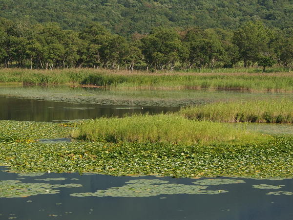 e0004756_1162497.jpg