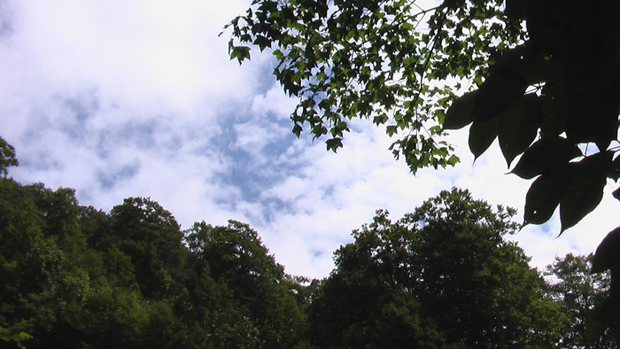 b0208961_9223990.jpg