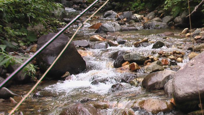 b0208961_9224283.jpg