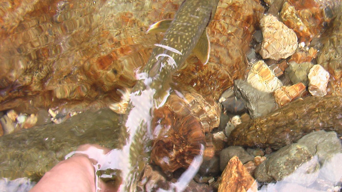b0208961_9252739.jpg