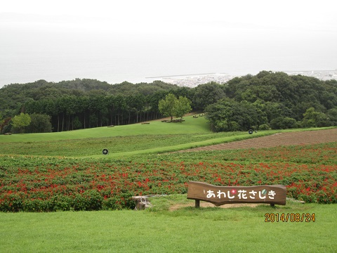 d0029363_235552.jpg