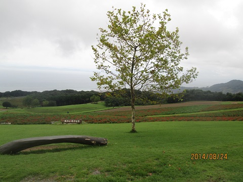 d0029363_241288.jpg