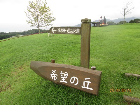 d0029363_242185.jpg