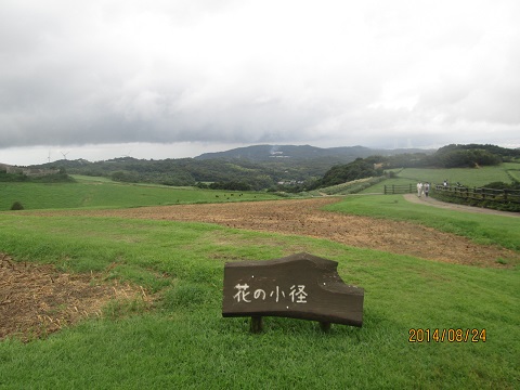 d0029363_24577.jpg