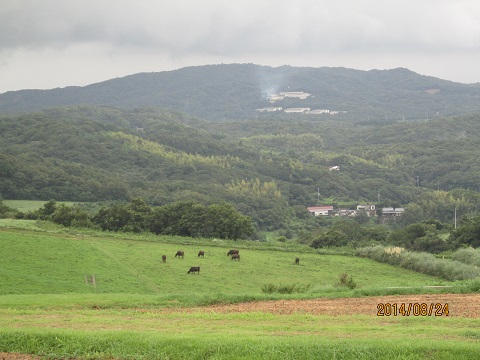 d0029363_25493.jpg