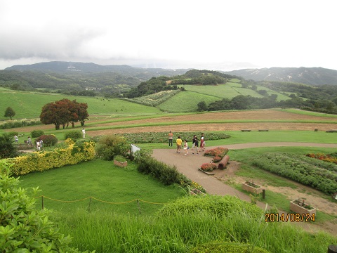 d0029363_261650.jpg