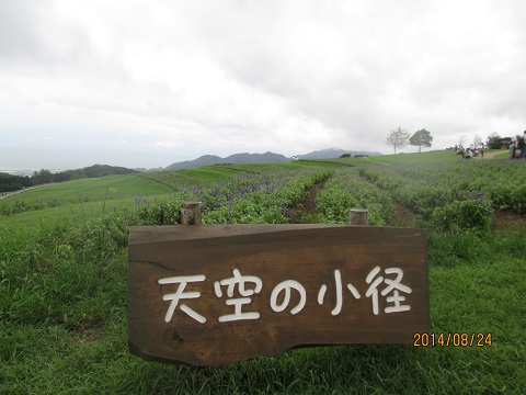 d0029363_26732.jpg