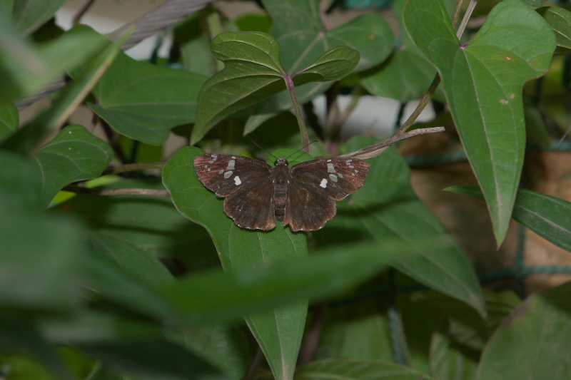 f0090680_224783.jpg