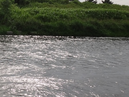 c0146788_1021190.jpg