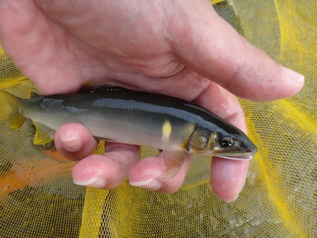 c0146788_1021470.jpg