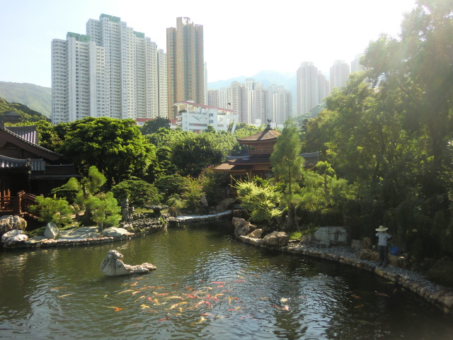 b0044296_11153827.jpg