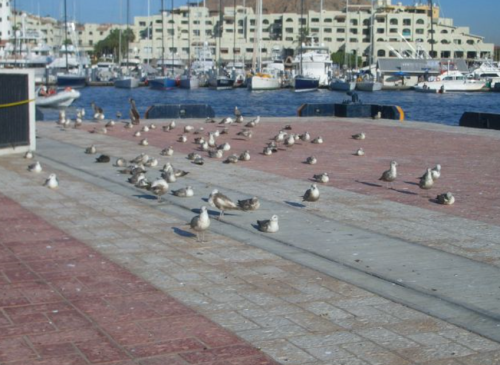 f0346196_07585328.png