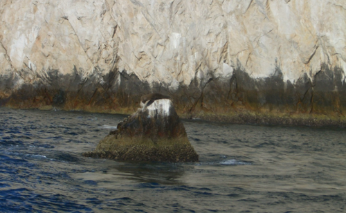 f0346196_07590278.png