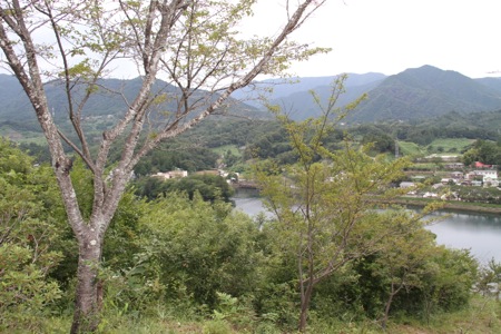 a0218499_1215358.jpg