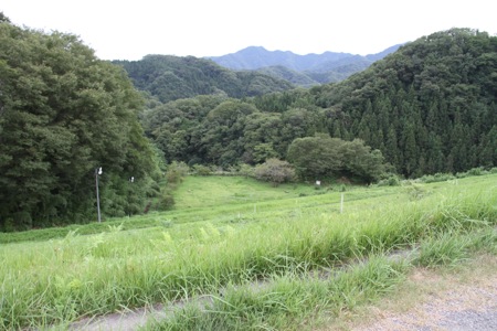 a0218499_127484.jpg