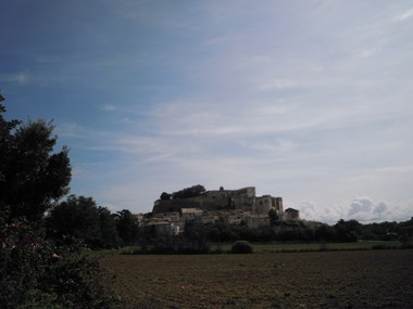 e0206902_1125247.jpg