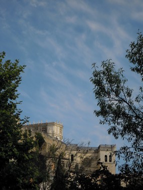 e0206902_114535.jpg