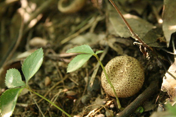 a0139007_16220696.jpg