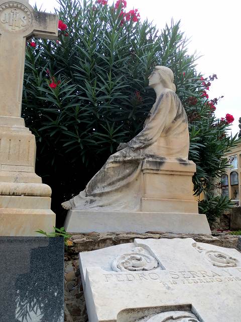 b0064411_16271670.jpg