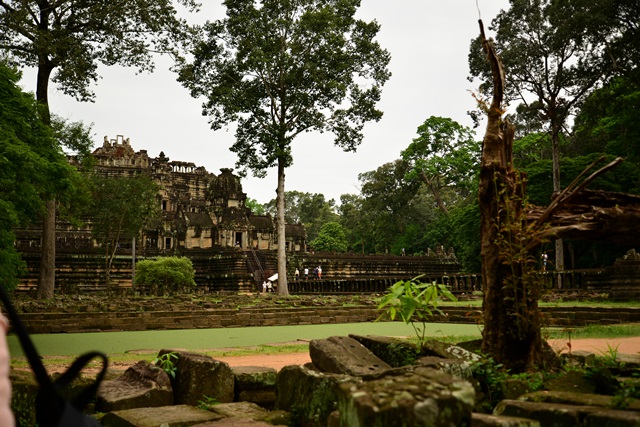 f0046614_21415088.jpg