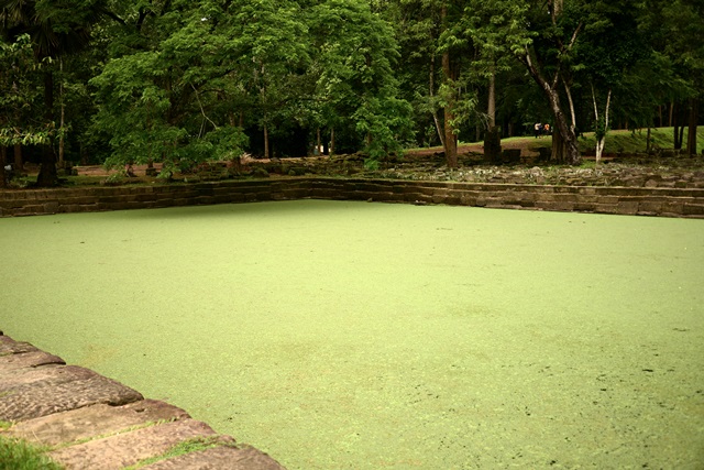 f0046614_21421372.jpg