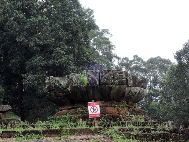 f0046614_22214647.jpg