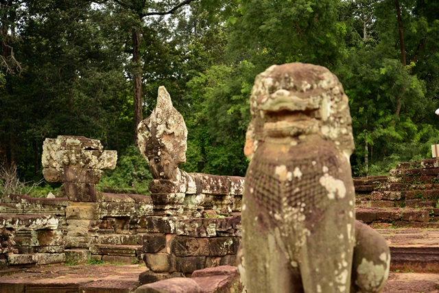 f0046614_22301217.jpg
