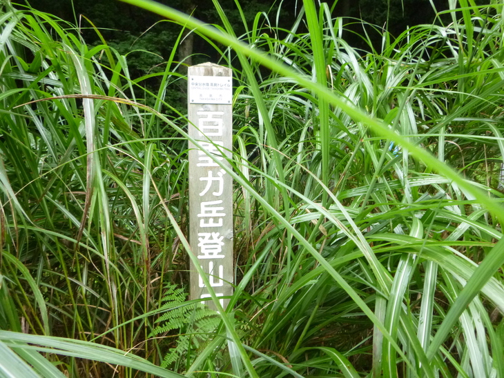 d0170615_22494570.jpg