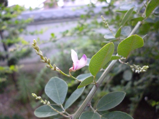 f0228619_2065891.jpg