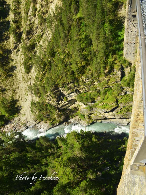a0158226_2325459.jpg