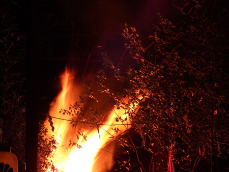 f0118332_124034.jpg