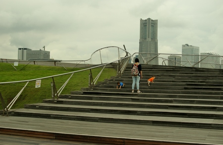 a0318033_11574716.jpg