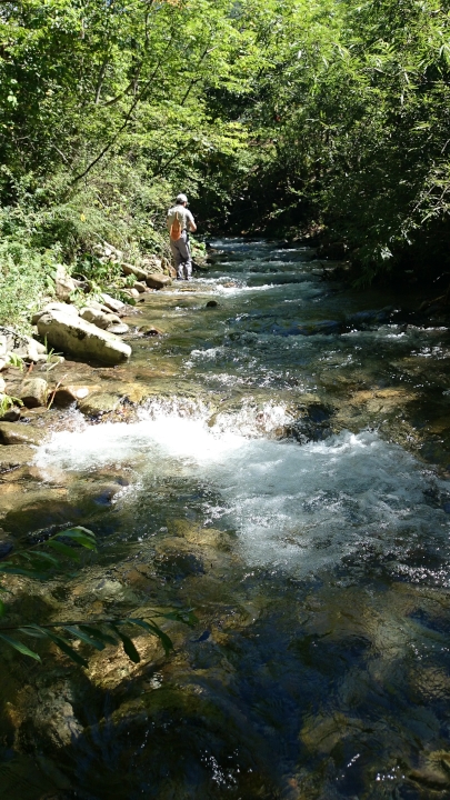 c0133133_12371869.jpg