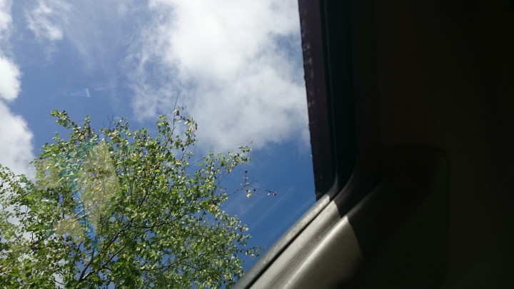 c0133133_12555788.jpg