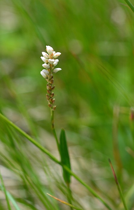 b0236334_21324840.jpg