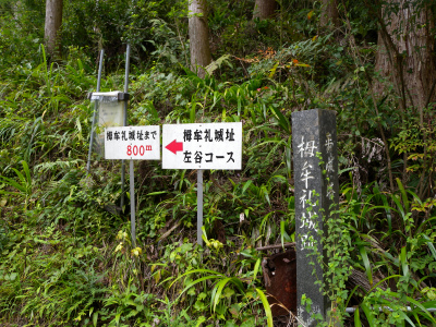 e0272335_1602051.jpg