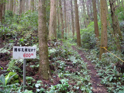 e0272335_16294182.jpg