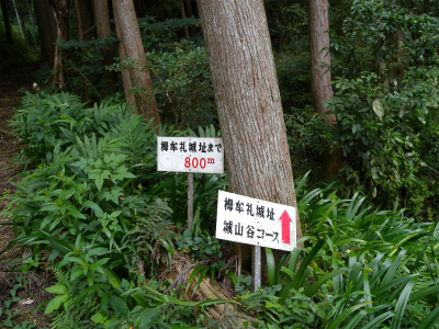 e0272335_167421.jpg
