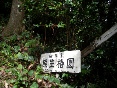 e0272335_17391041.jpg