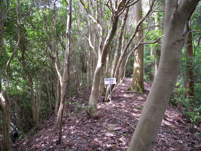 e0272335_17401973.jpg