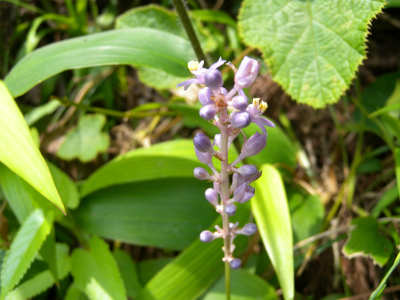 e0272335_18135436.jpg