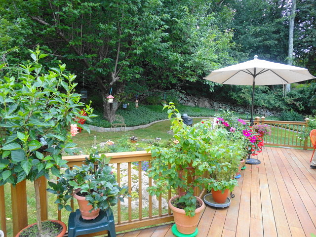 a0224537_1144474.jpg