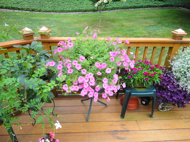 a0224537_115645.jpg