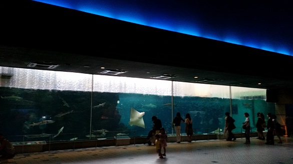 a0150848_22225742.jpg
