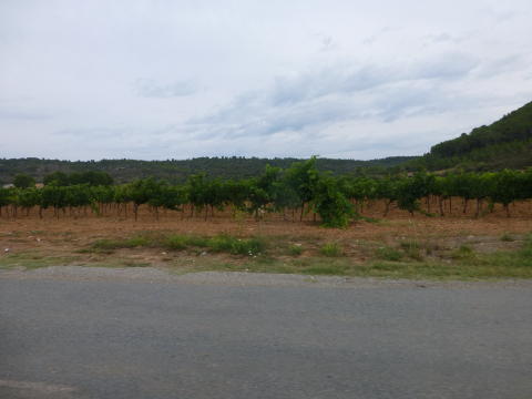 b0296855_21083971.jpg